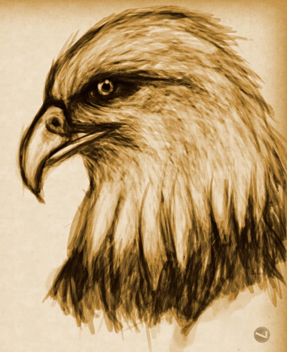 Eagle Sketch Zen Brush